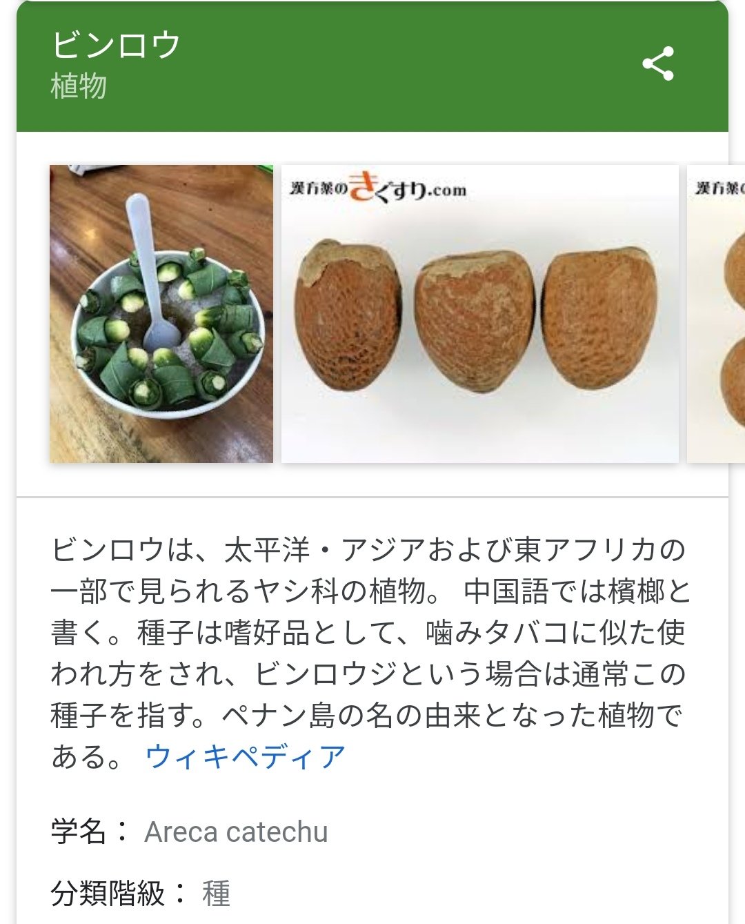 Zengyou ヨウ No Twitter Drago A T 今日は コメント有難うございます 檳榔 Binglang 檳榔子 Binglangzi ビンロウジと日本で言う時は種子を指すみたいです 花は食用になり台湾料理にあるのですね 食べてみたいです T Co Y1b91rgahr Twitter