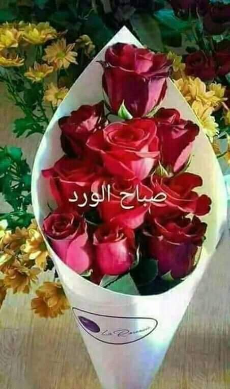 جمال الصبح ليس في شروق الشمس فحسب..بل في شكر الله الذي وهبنا يومآ
آخر جميل في هذه الحياه نذكر فيه أحبابنا ونتواصل معهم

أسعد الله يومكم