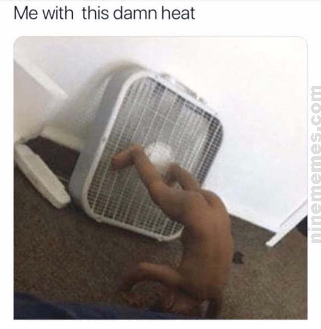 MemesNine tweet picture