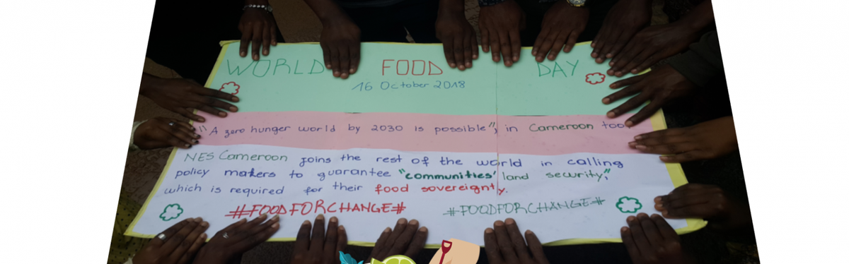 CameroonNes's tweet photo. World Food Day 16 october 2018
 NES Cameroon joins the rest of  the World in calling policy makers to guarantee communities's land  security, which is required for their food sovereignty. https://t.co/HspvbQHjca
