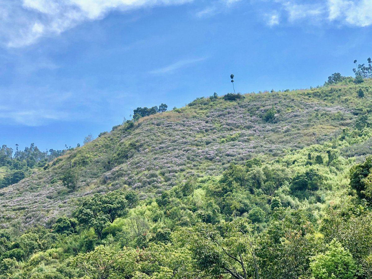 Vrundashankara On Twitter One More Hillock Another Set Of