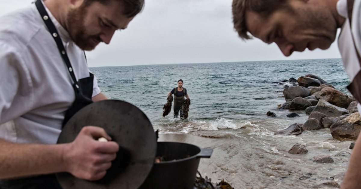 Pearlfisher tweet media