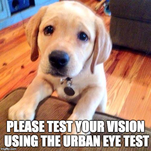 OCOGlasses's tweet image. Almost 14 million adults 👨👩 in the UK fail to have their eyes 👀 checked every two years as recommended by opticians. We've made it easier to take the first step with our #UrbanEyeTest 👓