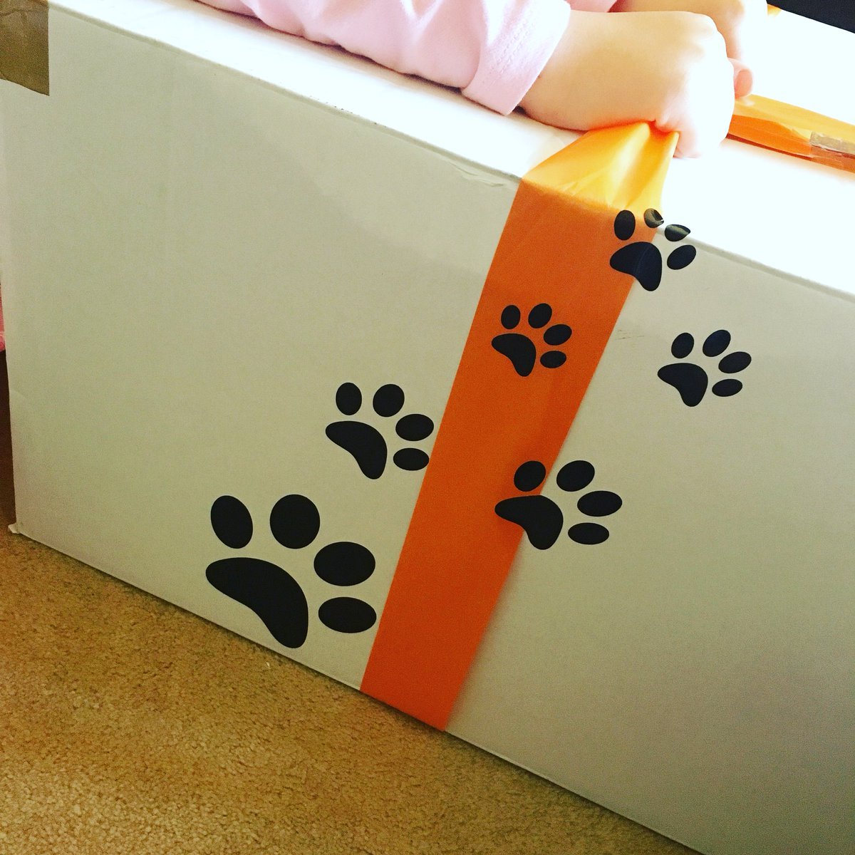 PatiencesMagic's tweet image. Spooky Halloween Parcel Delivery! But who’s inside? Any guesses?👻👻👻
.
.
#halloween #spookydelivery #whatsinthebox #halloween🎃 #halloween🎃👻 #halloweendecor #surprisebox #pawprints #patiencesmagicaltoyemporium #kidfluencer #instatoys #instakids #influencer #gifted