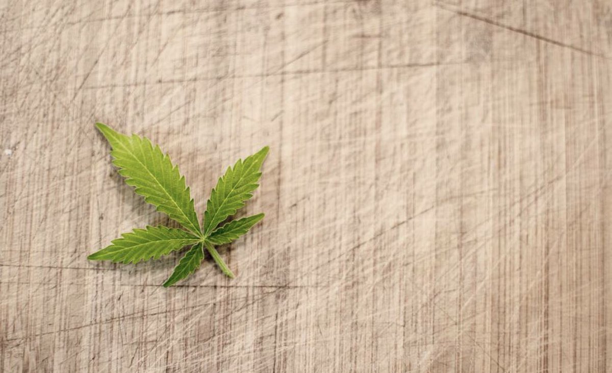 CTFOwithkell's tweet image. What is CBD? #Cannabidiol (CBD) is just one of over 85 #cannabinoids that have been identified in the #cannabis #plant. #CBD is becoming increasingly popular amongst the masses for having a wide scope of benefits #ctfo #Hemp #pesticidefree #nongmo #health #pure #natural