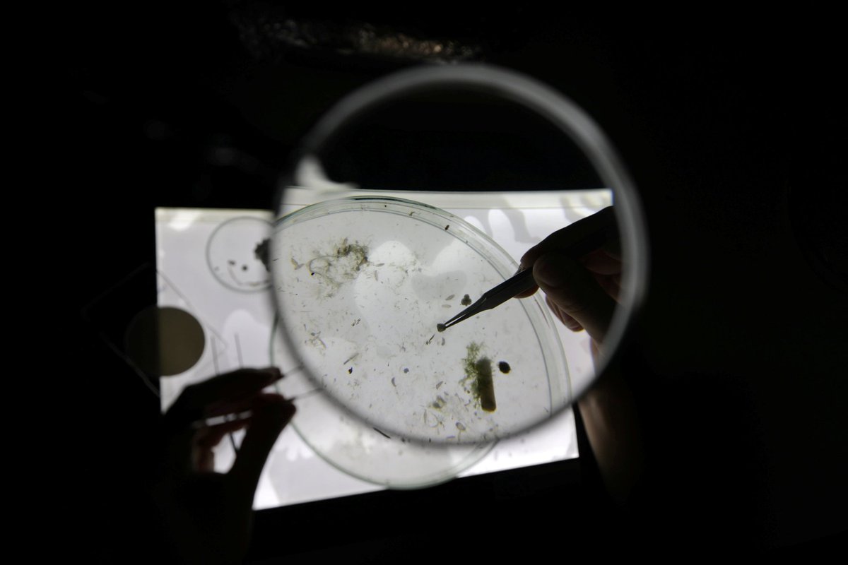 Researchers took stool samples of 8 pple in Finland, Italy, Japan, Netherlands, Poland, Russia, UK, Austria. Every sample tested positive for presence of a variety of #microplastics nyti.ms/2AmCBlU #health
