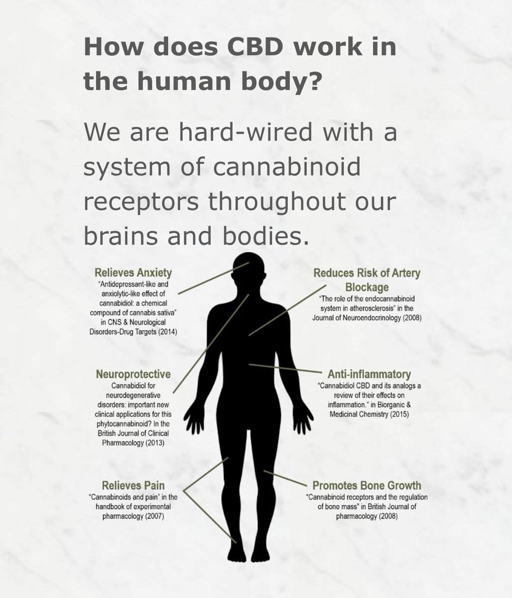 CTFOwithkell's tweet image. How does #CBD work in the #humanbody? We are hard wired with a system of #cannabinoid receptors throughout our #brains and #bodies 
#ctfo #Hemp #Cannabis #awareness #cannabiscommunity #pesticidefree #nongmo #health #wellness #holistic #holistichealth #natural #organic