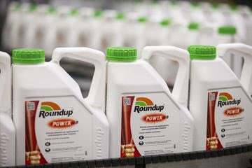 #Bayer shares slump as Roundup cancer verdict stands bloomberg.com/news/articles/… Failure of the appeal confirms there’s enough science to back the original verdict. #glyphosate