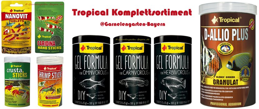 garnelengarten's tweet image. Tropical

#tropical #futter #fischfutter #garnelenfutter #krebsfutter #schneckenfutter #softline #filter #dünger #aufbereiter #süßwasser #meerwasser #freshwater #seawater #komplettsortiment 

garnelenshop-bayern.de/Tropical