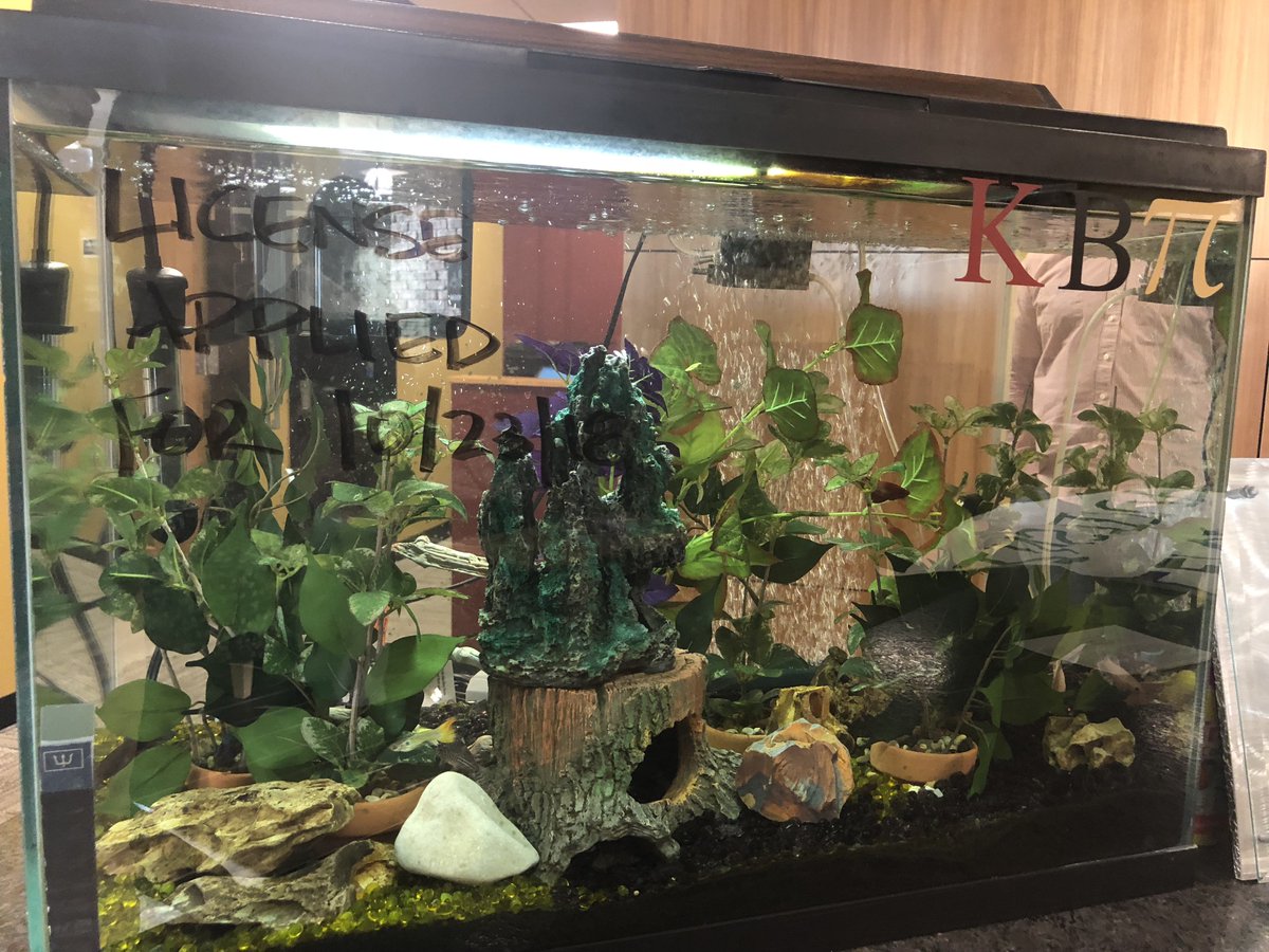 ErinGoBro's tweet image. In response to an email regarding policies for Institutional Animal Care, an email to make sure that Kirby Beta Pi is compliant has been sent.  Let's hope our little homegrown sorority gets to stay!