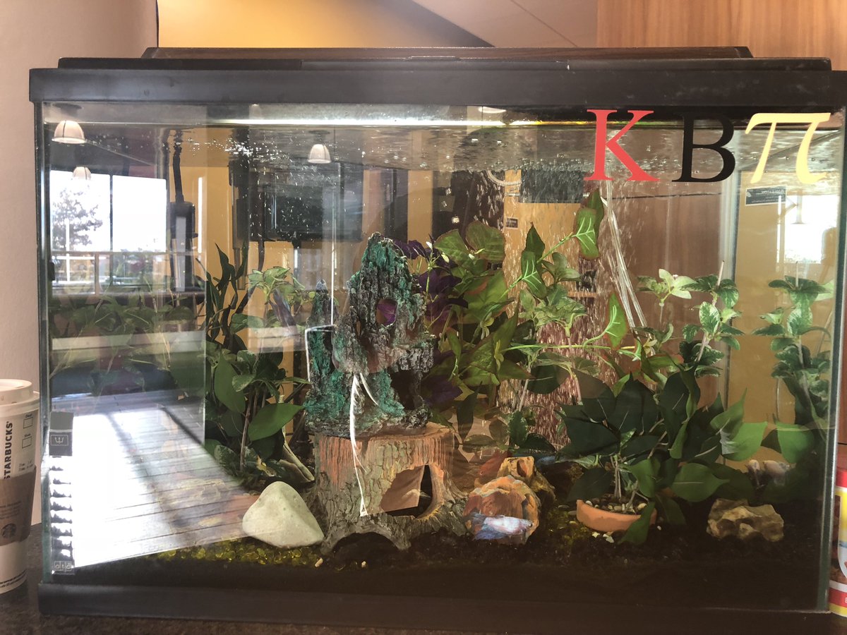 ErinGoBro's tweet image. In response to an email regarding policies for Institutional Animal Care, an email to make sure that Kirby Beta Pi is compliant has been sent.  Let's hope our little homegrown sorority gets to stay!