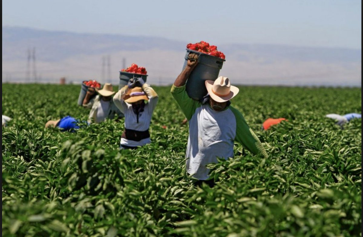 Food Tank tweet media