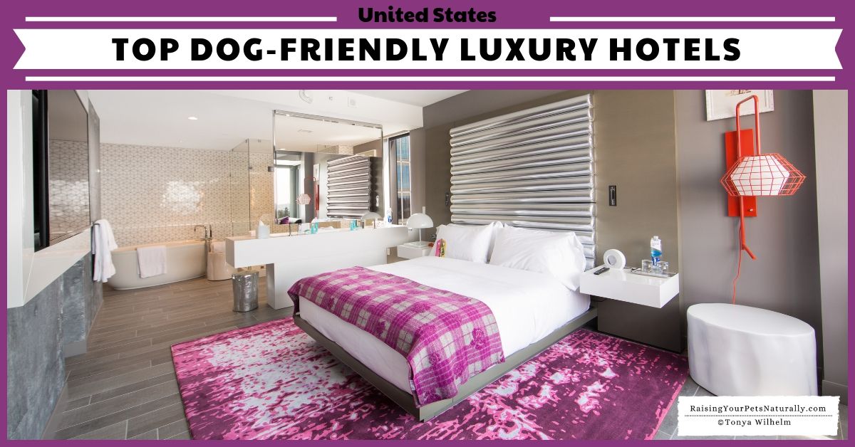 If you are planning a #dogfriendly #roadtrip, you might want to check some of these #luxuryhotels.  buff.ly/2S2Vp04 #MWTravel #westcoast #TravelSouth #NewEnglandTravel #Tourism #TravelDestinations #dogfriendlytourism #TourismIndustry @dogtrainer4ever
