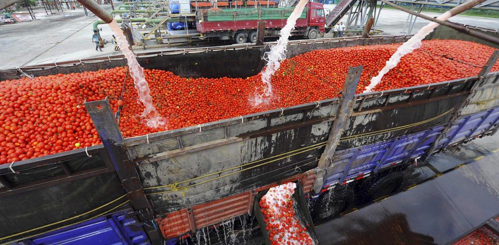 Lauréat du prix Albert-Londres 2018 pour l’@empire_or_rouge, <a href="/jbaptistemalet/">Jean-Baptiste Malet</a> n’enquête pas “pour se coucher devant un industriel” telerama.fr/livre/jean-bap…