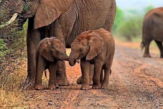 ramblingsloa's tweet photo. Don’t walk behind me; I may not lead.
Don’t walk in front of me; I may not follow.
Just walk beside me and be my friend.

Albert Camus https://t.co/lGBfCFluUu