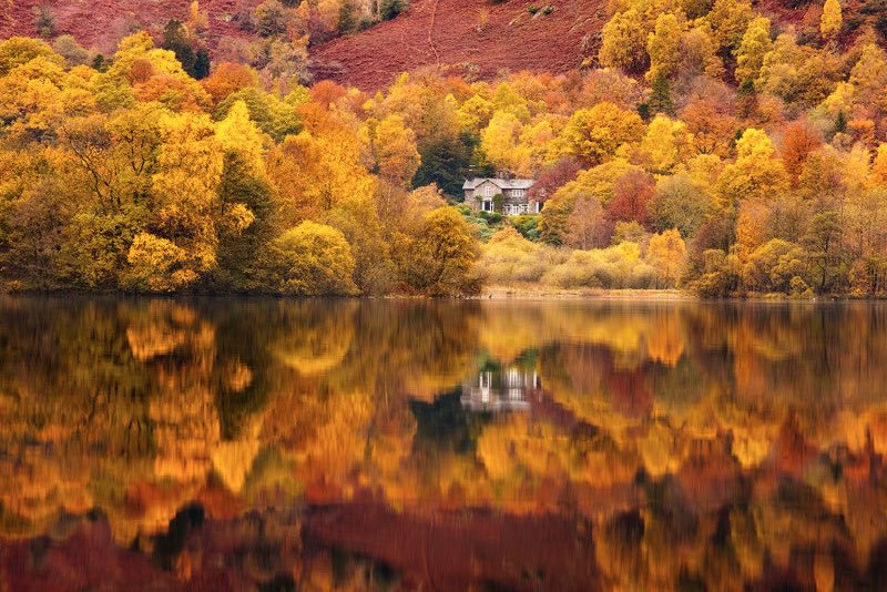 CrucialTrading's tweet photo. With photography this good, we had to share another Autumnal shot by David Clapp. Are you looking forward to the season? #autumn #photography #fall #davidclapp #autumncolours #fallcolors https://t.co/hKYktxkTSQ