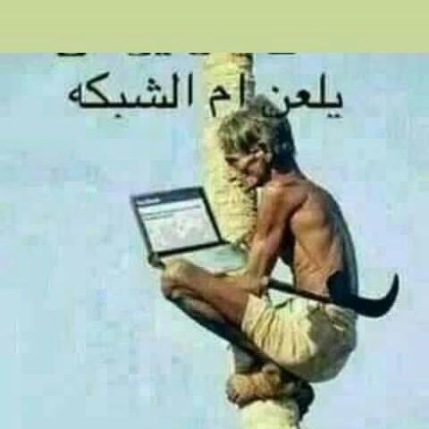 شفو  حال اليمن مع النت