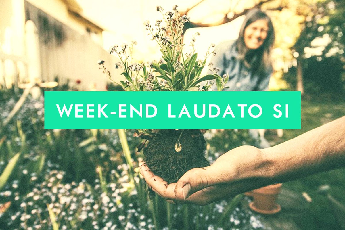 Jesuites's tweet photo. 📅 Le Dorothy, le CERAS (Centre de recherche et d’action sociales) et @caritasfrance proposent ce week-end de formation : "#LaudatoSi : La joie de la révolution écologique" du 9 au 11/11 à Paris https://t.co/sg8TjYSauo 🌍 https://t.co/PQScHrm9Yc