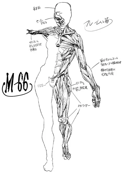 M66シリーズ設定 