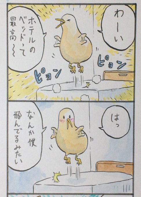今日のキーウィ君  4日目 