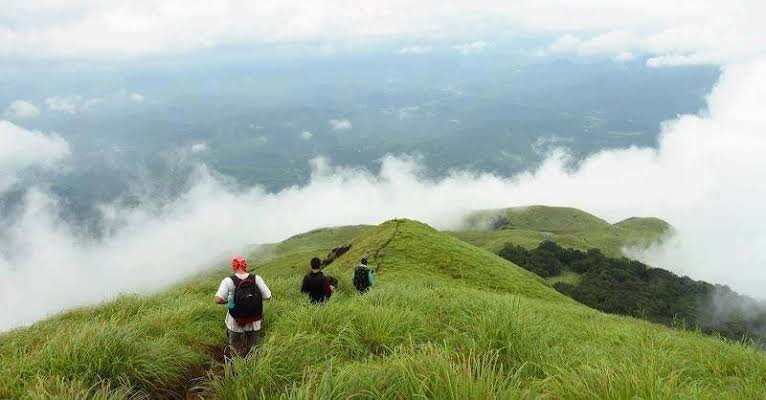 ABHIJIT12401978's tweet photo. #munnar #munnarislive #visitmunnar #letsgomunnar #iaminmunnar #keralatourism #mykerala #incredibleindia #keralanews #tourist #travelgram #holidays https://t.co/ASWPgvyGjy