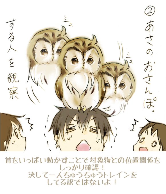 フクロウイラストのtwitterイラスト検索結果