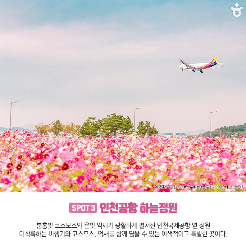 인천공항만 있지 않아요! 레일바이크부터 멋진 노을까지
하루 종일 행복할 수 있는 영종도, 용유도 여행😊
#인천 #영종도 #용유도 #여행주간
[사진(김민서)-다님 2기]
자세히 보기▶ bit.ly/2ytzQxy