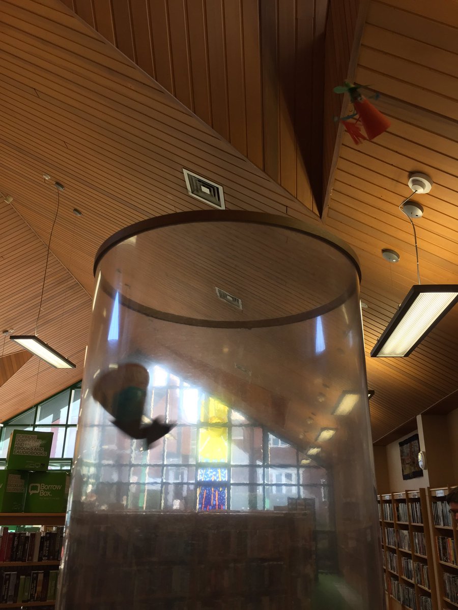 PiPadawans's tweet photo. Bats v witches #CrawcrookLibrary @GatesheadLibs.Look out there are bats about (and other low flying critters) https://t.co/0x6LWhjx47