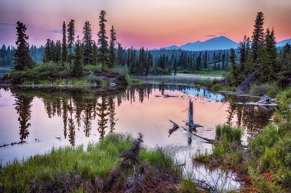 NationalParkFdn's tweet image. #TriviaTuesday: Can you name the largest national park in the United States? &amp;gt;&amp;gt; prks.org/2I171MP 

#FindYourPark #EncuentraTuParque