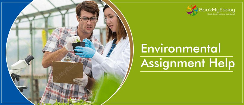 Book_My_Essay's tweet image. #EnvironmentalAssignmentHelp – How it is Impactful for Assessment bit.ly/2OIOJGI
#AssignmentWritingHelp, #BookMyEssay,
Email us- assignmenthelp@bookmyessay.com