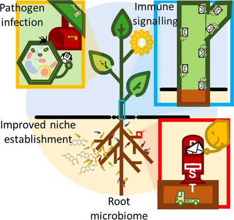 EvolvedBiofilm's tweet photo. The soil‐borne legacy in the age of the holobiont
#microbialBiotech #CrystalBall
https://t.co/KqJjv9vFi4 https://t.co/nUNEj2jFt3