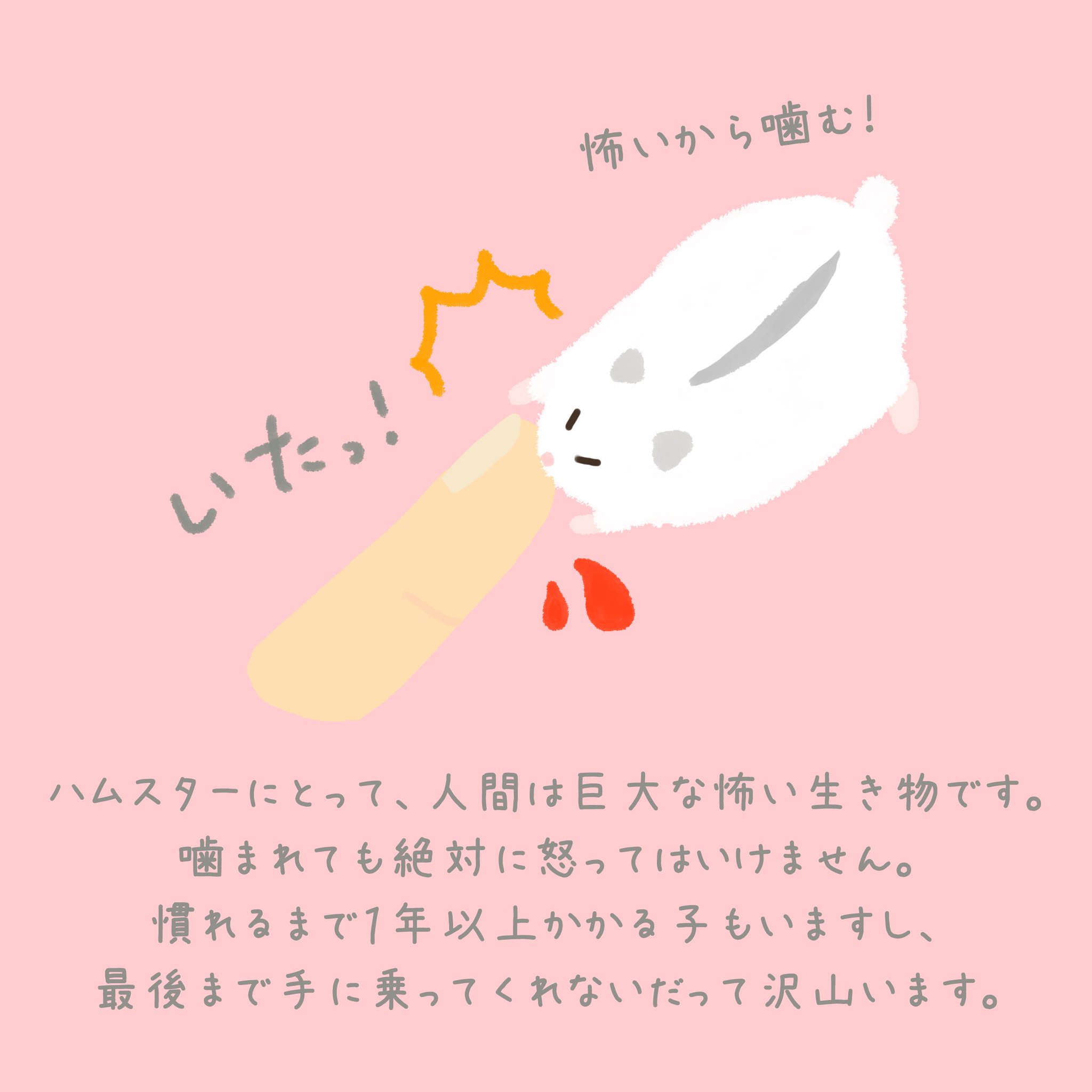 きゃりはむ Pechiko ハムスターは安いですが その命は決して安くありません これからの季節 ずっと暖房をつけておくので エサ代に加えて光熱費もかかります 看てもらえる病院も犬や猫ほど充実してはいません 手術は10万円近くかかります それでも きゃりはむ Pechiko ハムスターは安いですが その命は決して安くありません これからの季節 ずっと暖房をつけておくので エサ代に加えて光熱費もかかります 看てもらえる病院も犬や猫ほど充実してはいません 手術は10万円近くかかります それでも
