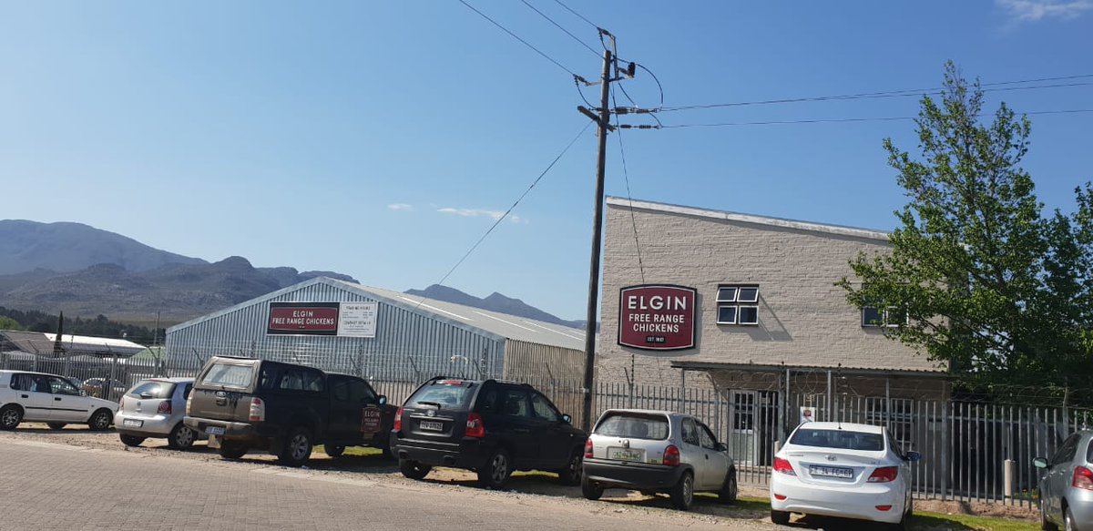 WeighMulti's tweet image. Expanding ManageABLE WMS at Elgin Free Range Chickens in the Cape.
🐣🐣🐣🐣🐣🐣🐣🐣🐣🐣🐣🐣
To include Purchase Order management.Receiving.
Put Away into stores.Issuing to Production, Cleaning, and Packing departments.