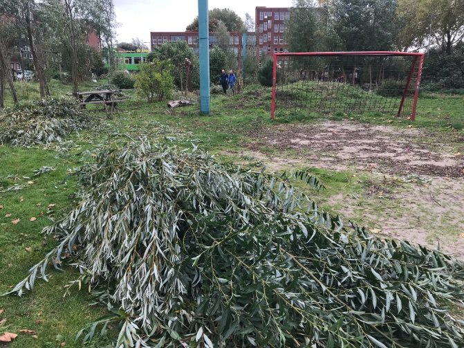 rinibiemans's tweet photo. Vandaag grote wilgenteen snoei actie #proefpark #rotterdam met dank aan Hoeksche Waardse Landschap ππ https://t.co/R77QNSX31u