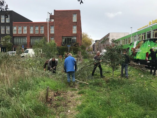 rinibiemans's tweet photo. Vandaag grote wilgenteen snoei actie #proefpark #rotterdam met dank aan Hoeksche Waardse Landschap ππ https://t.co/R77QNSX31u