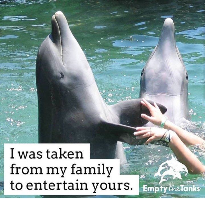 <a href="/gregsonmichael1/">mikeggre</a> <a href="/GWijnaldum/">Gini Wijnaldum</a> Disgusting. Please educate yourselves &amp; learn about #Taiji. Or don't you care?? So long as you have 'fun'?  #AnimalAbuse #EmptyTheTanks