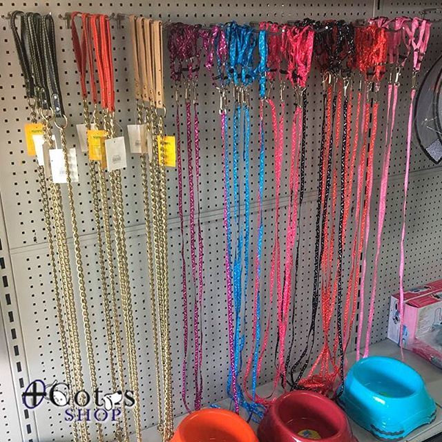 ¿Necesitas un collar para pasear a tus mascotas? ¡Visita nuestras tiendas!
.
#MascotasFelices #Mascotas #Alimento #Medicamentos #Accesorios #PeluqueriaCanina #NautilusJardinGourmet #SambilValencia #Perros #Gatos #Valencia ift.tt/2q63Efd
