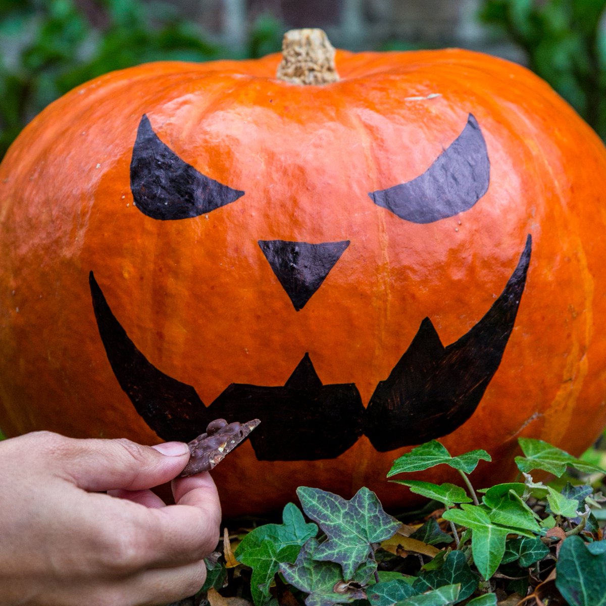 nuttythins's tweet photo. 🎃 #Halloween's approaching and we can't wait for a nutty Halloween night! 🎃 To get you all into the Halloween spirit ... we've come up with a nutty giveaway! Check our facebook or instagram for more info 😃 #nuttythins #nuttyadventures #nuttypumpkinadventures https://t.co/VVb78Kijhq