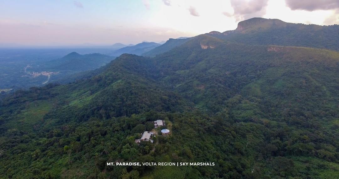 THE GODFATHER tweet media