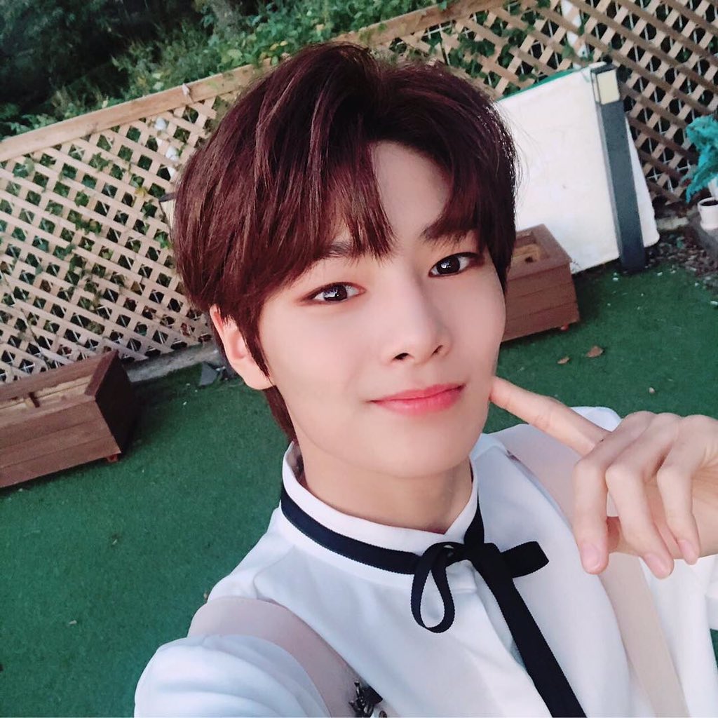 straykidsesp's tweet photo. [Instagram Update]
I.N

Un regalo~~
#straykids #stay #IamYOU #INstagram #🦊 

{ @ProudOfYeontan } https://t.co/4oF2jneMHV
