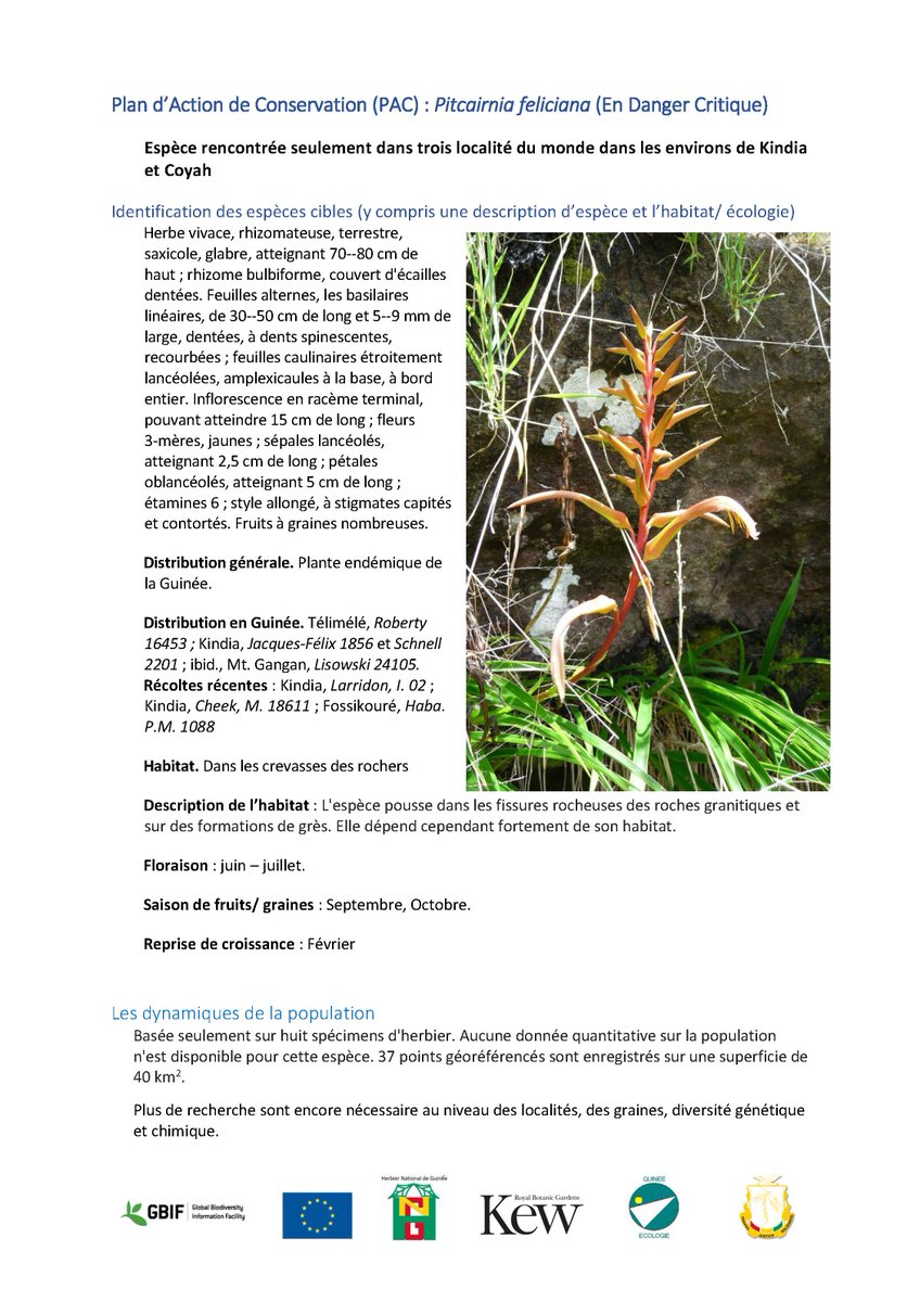 HerbierGuinee on Twitter "Les premières Plans d’Action de Conservation