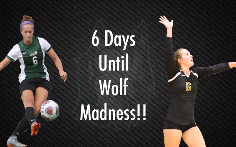 KeukaAthletics's tweet photo. #WolfMadness🐺⚽️🏐 https://t.co/VrFP4tOQfn
