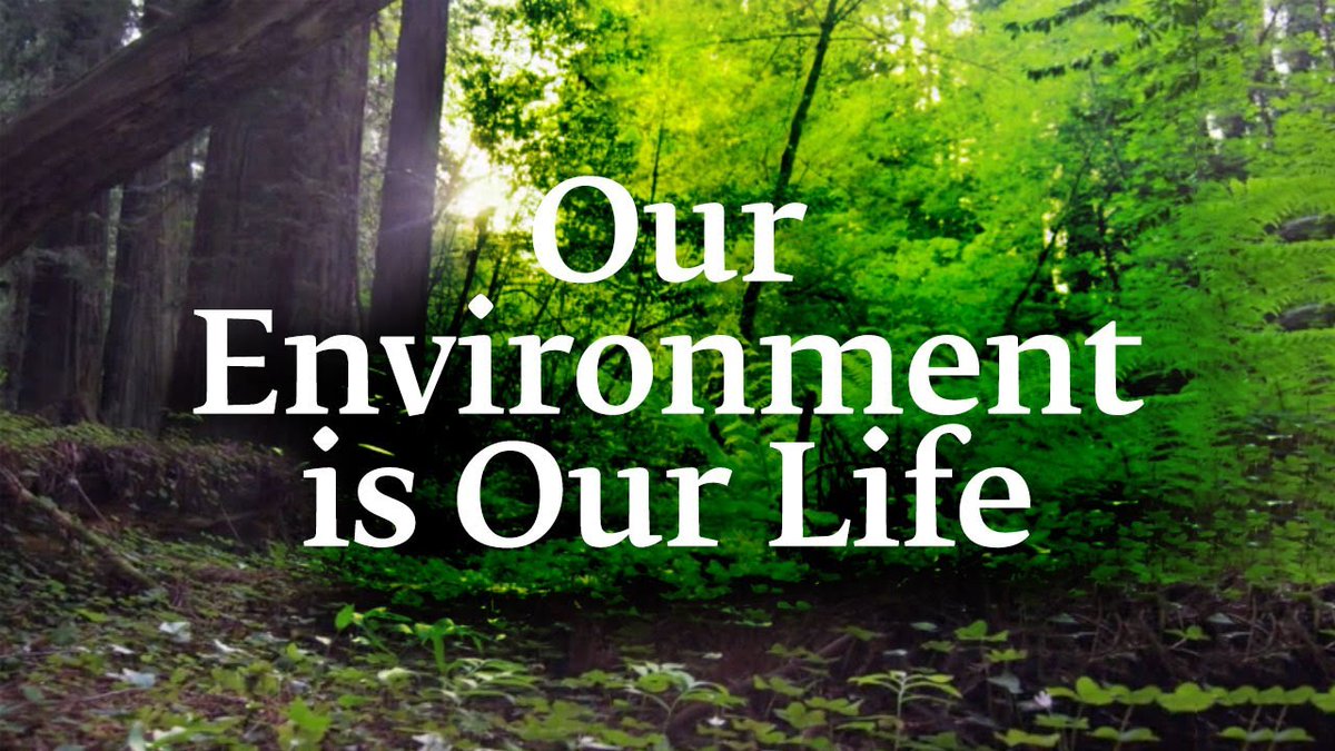 environmentUAE1's tweet photo. https://t.co/k9yLx1Gotj