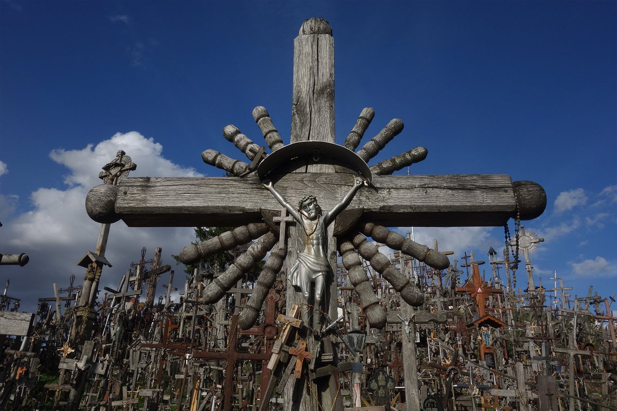 Josh Ferry Woodard tweet media