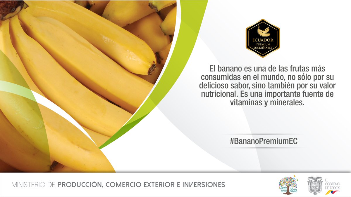 Marca_Ecuador's tweet photo. Ecuador se mantiene como el principal exportador de banano en el mundo. Alrededor del 30% de la oferta mundial de esta fruta proviene del país.
  @Pro_Ecuador 
  @ComercioExtEc 
  @_AEBE_ @FOROBANANO2018 #BananoPremiumEC #15añosForoAebe 
  @Marca_Ecuador https://t.co/83qrjEPVN0