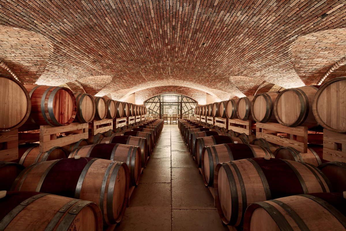 Giustiwine's tweet image. #Patience is one of the #keyfactor to improve the #quality and the #uniqueness of our #wines...

#GiustiWine #barriques #oakbarrel #patience #aging #cellar #redwine #winelover