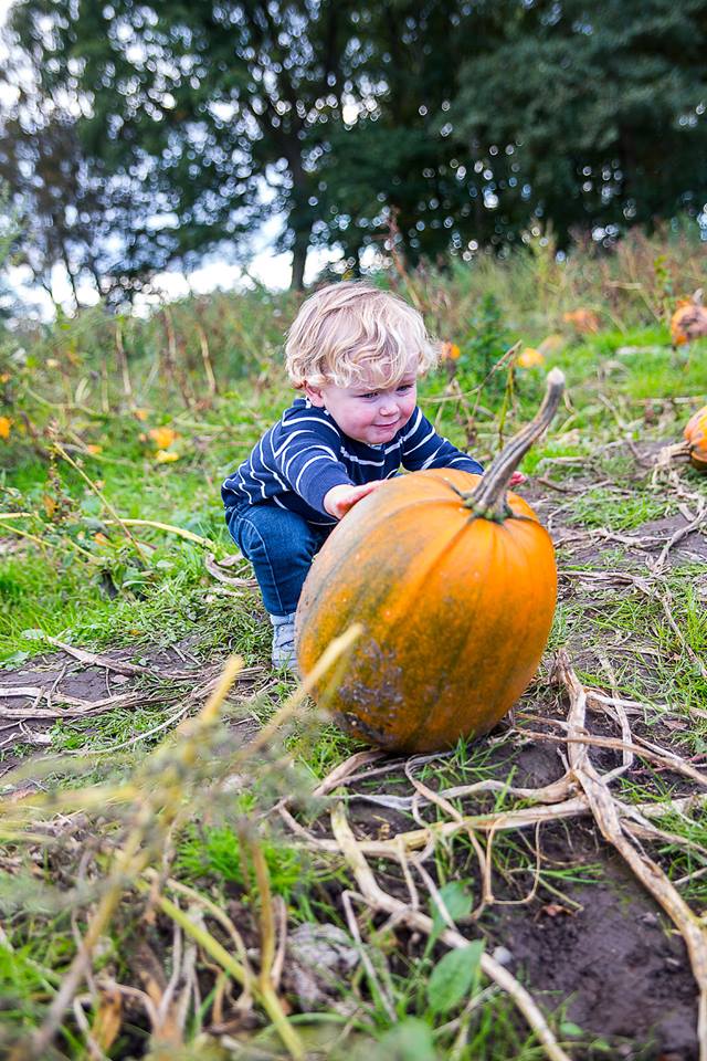 ✨KEEP CALM &amp; PUMPKIN ON🎃
We've been voted in the top 5 best places to pick a pumpkin by Day Out With The Kids bring your little piggies to join in the fun 🐷💖 pigletsadventurefarm.com/general/autumn…
