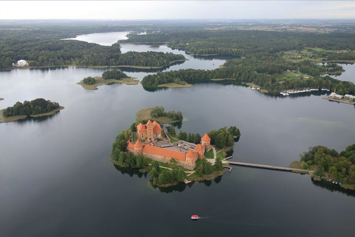 The Editor tweet media