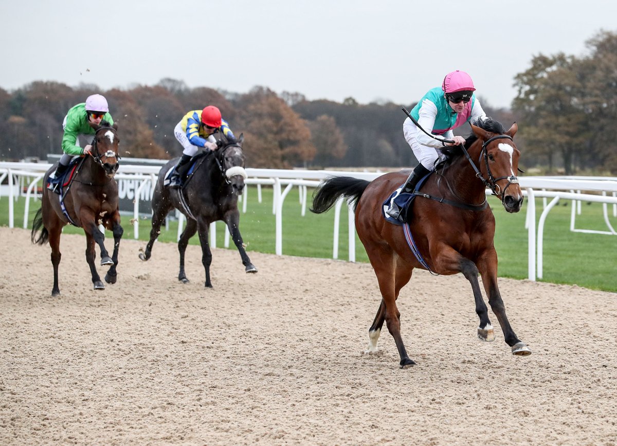 BorderMinstrel1's tweet photo. Good luck to our #HighGosforthPark friends @NewcastleRaces with their @awchamps Season Opener this afternoon https://t.co/Q45VTTi1BE