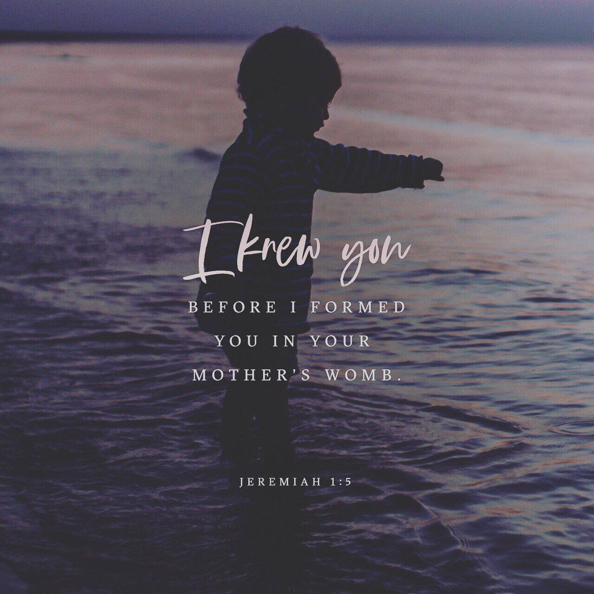 donmelv's tweet image. Everyday is a new beginning!!!!